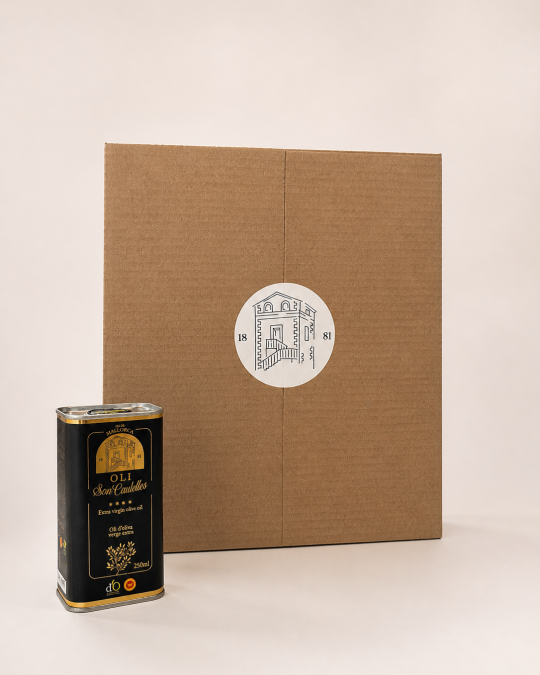 Caja 250 ml 24 ud